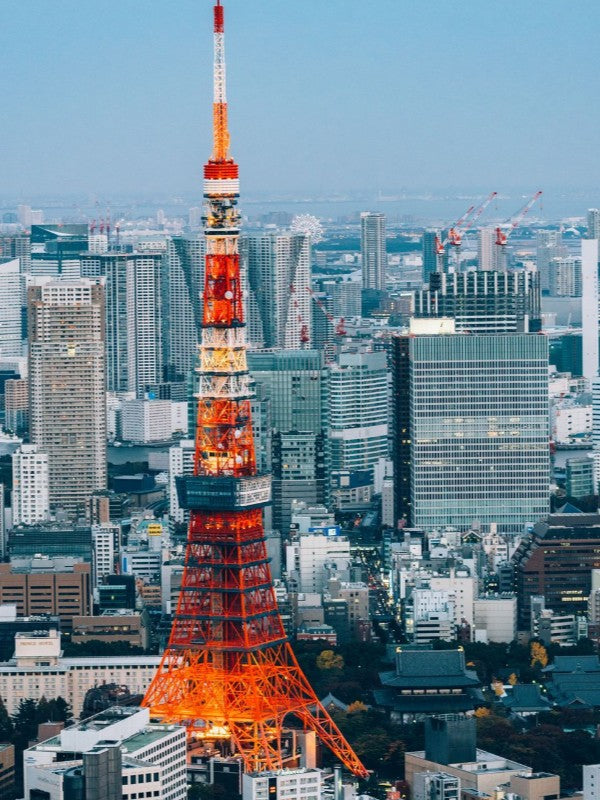 eSIM for the Japan, Fixed Plans