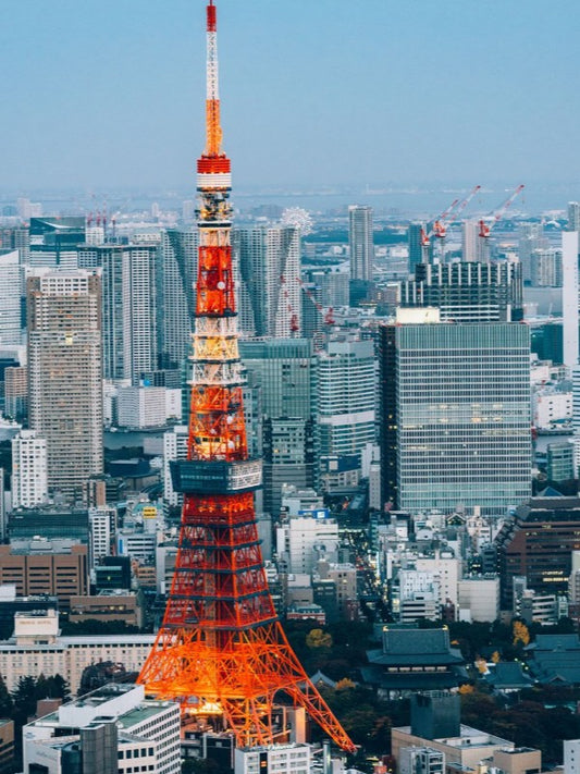 eSIM for the Japan, Fixed Plans