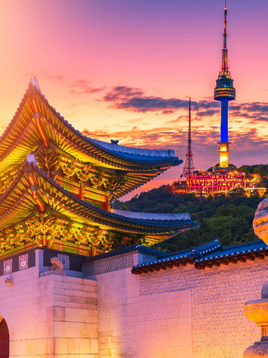 eSIM for the South Korea, Fixed Plans